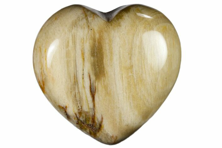 Polished, Triassic Petrified Wood Heart - Madagascar #115511